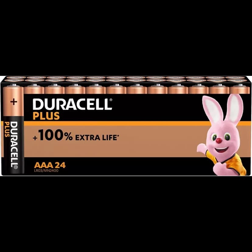 Lot de 24 piles Duracell Plus AAA haute performance