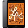 iPad mini 5 (2019) - 64 Go - Gris sidéral - Reconditionné - Excellent état