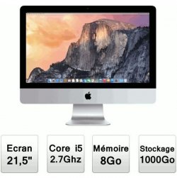 Apple Tout en Un CTO iMac 21,5- 3162537